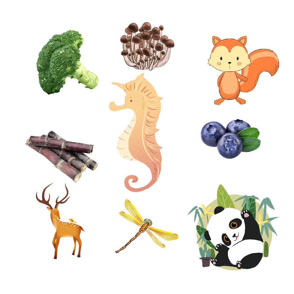 第63组.png