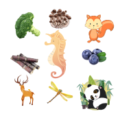 第63组.png