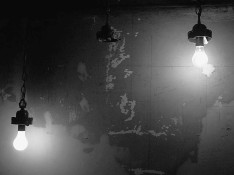161960367_f588c2b6cc_z.jpg
