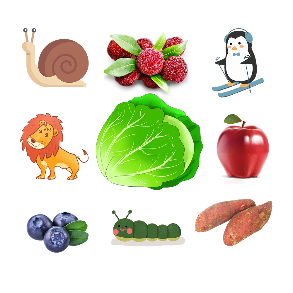 第73组.png