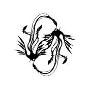 rede5_edit_594471228170516.png