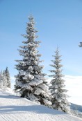 lina-winter-5701_1280.jpg