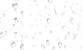 4944549B-F9FC-4EB2-A131-B917AB4EB363.jpeg