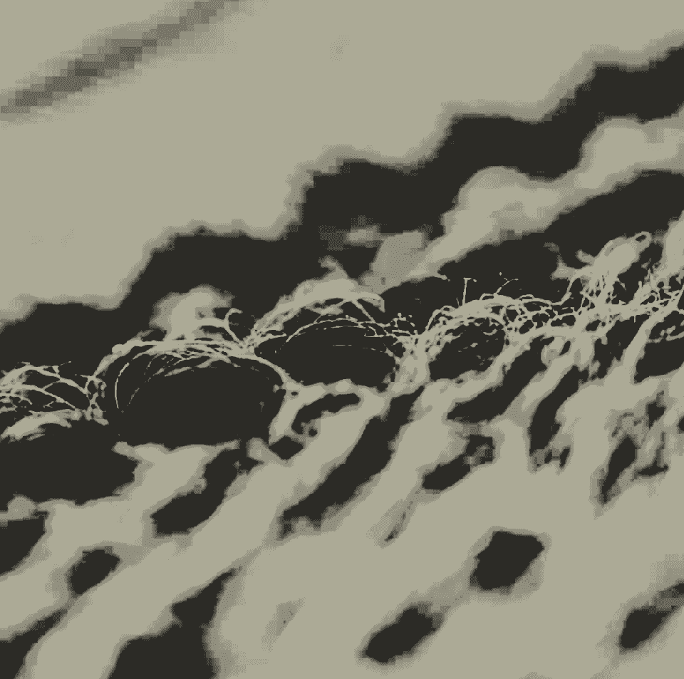 1000012266.png