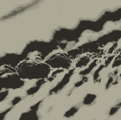 1000012266.png