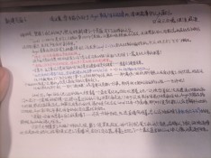 1786784255013.jpg