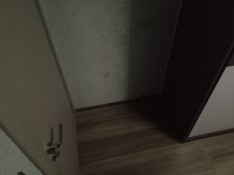 IMG_20260813_214501.jpg