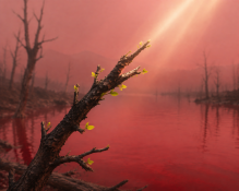 E51D7F0D-838E-4609-B323-4758D85F79D9.png