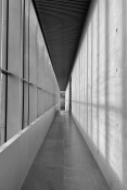 pexels-photo-30080124.jpg