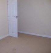 IMG_2233.jpeg