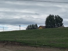 IMG_4995.jpeg