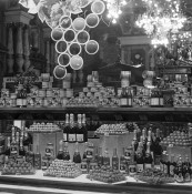IMG_1442.jpeg