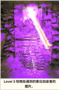 1000035663.png