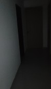 1000015100.jpg