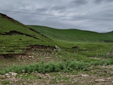 IMG_4998.jpeg