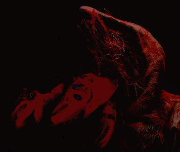 14323.png
