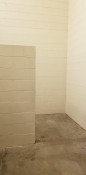Level-1 (1).jpg