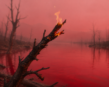3986E9BF-9CCC-430B-8A3A-256167A44EE2.png