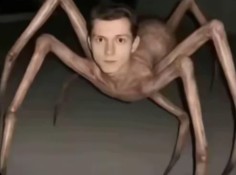1786803687370.jpeg