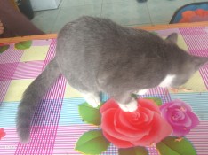 IMG_20260822_172011.jpg