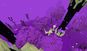 IMG_2994(20260806-104354).PNG