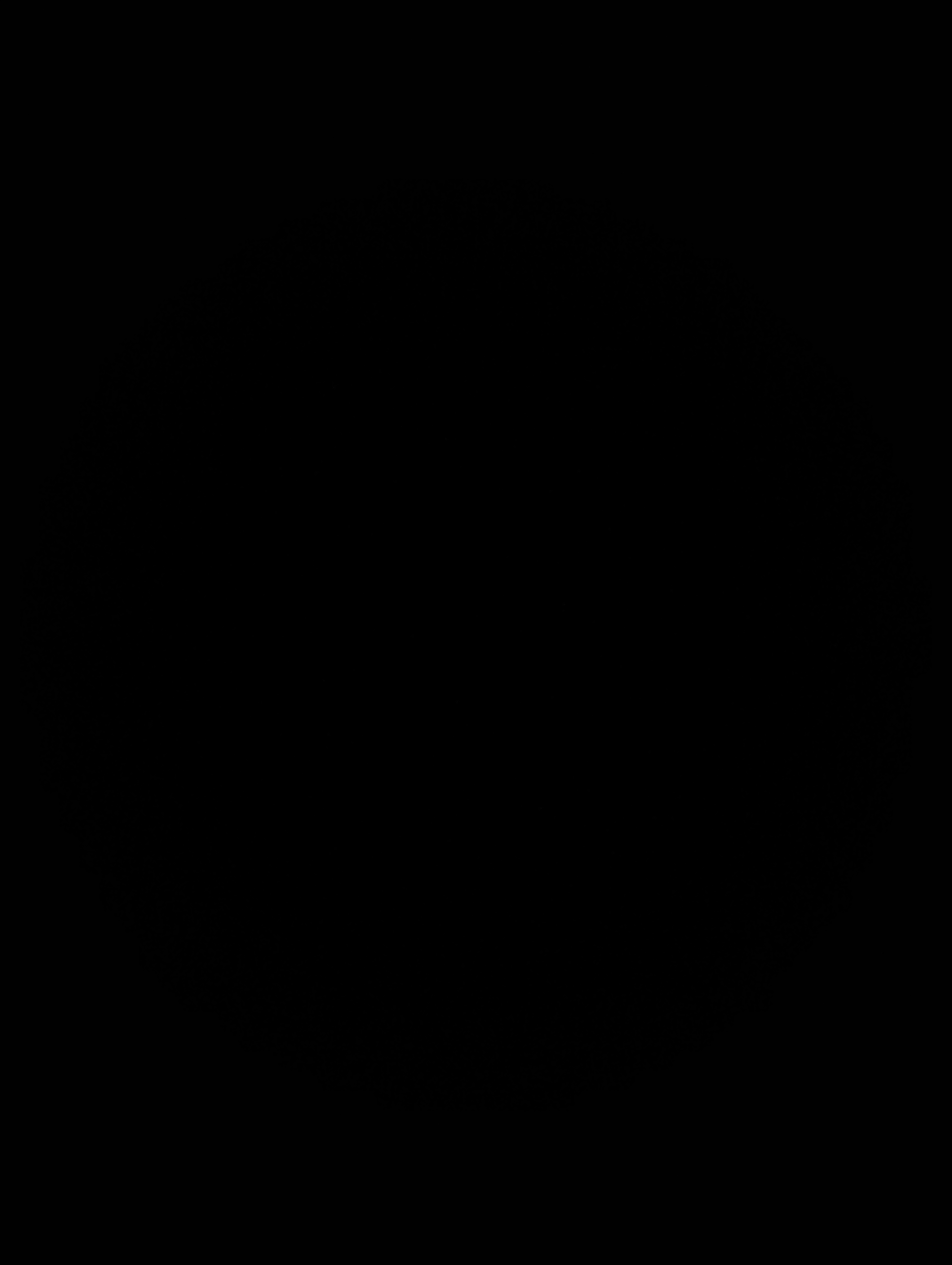 1787218733370.jpg