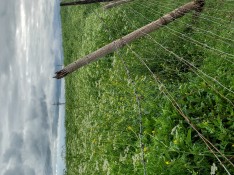 IMG_4997.jpeg