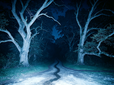 IMG_20260806_202827.png