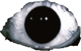 retouch_2026091812525156.png