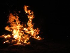 rhadas-bonfire-night-2925319.jpg