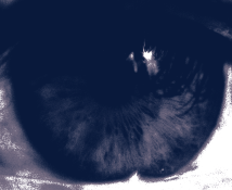 插画2.png