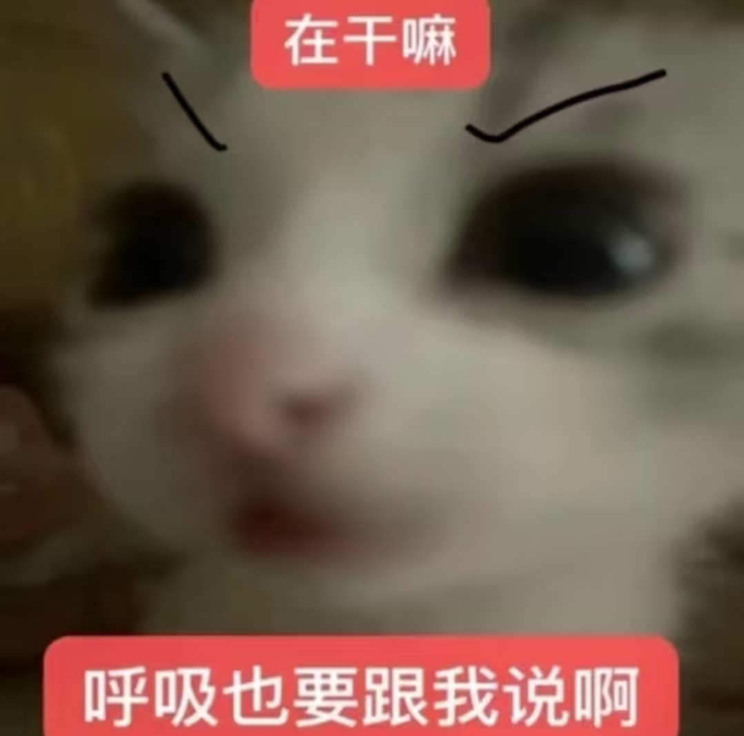 Screenshot_20261001_094449_com_xingin_xhs.png