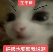 Screenshot_20261001_094449_com_xingin_xhs.png