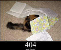 IMG_20261018_091216.png