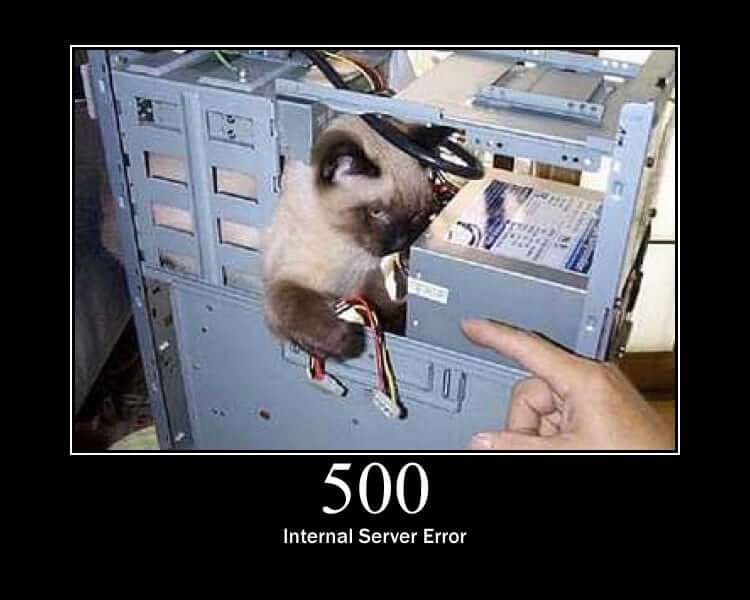 d4d4e50578801d60d989fe68d76d39522df640edb5ade4b8280895a24c36b557_0.JPG