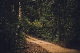 pexels-alexeydemidov-7774132.jpg