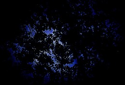 Screenshot_20261012_221708.jpg