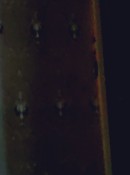 IMG_20261024_102256_edit_213151580753582.jpg