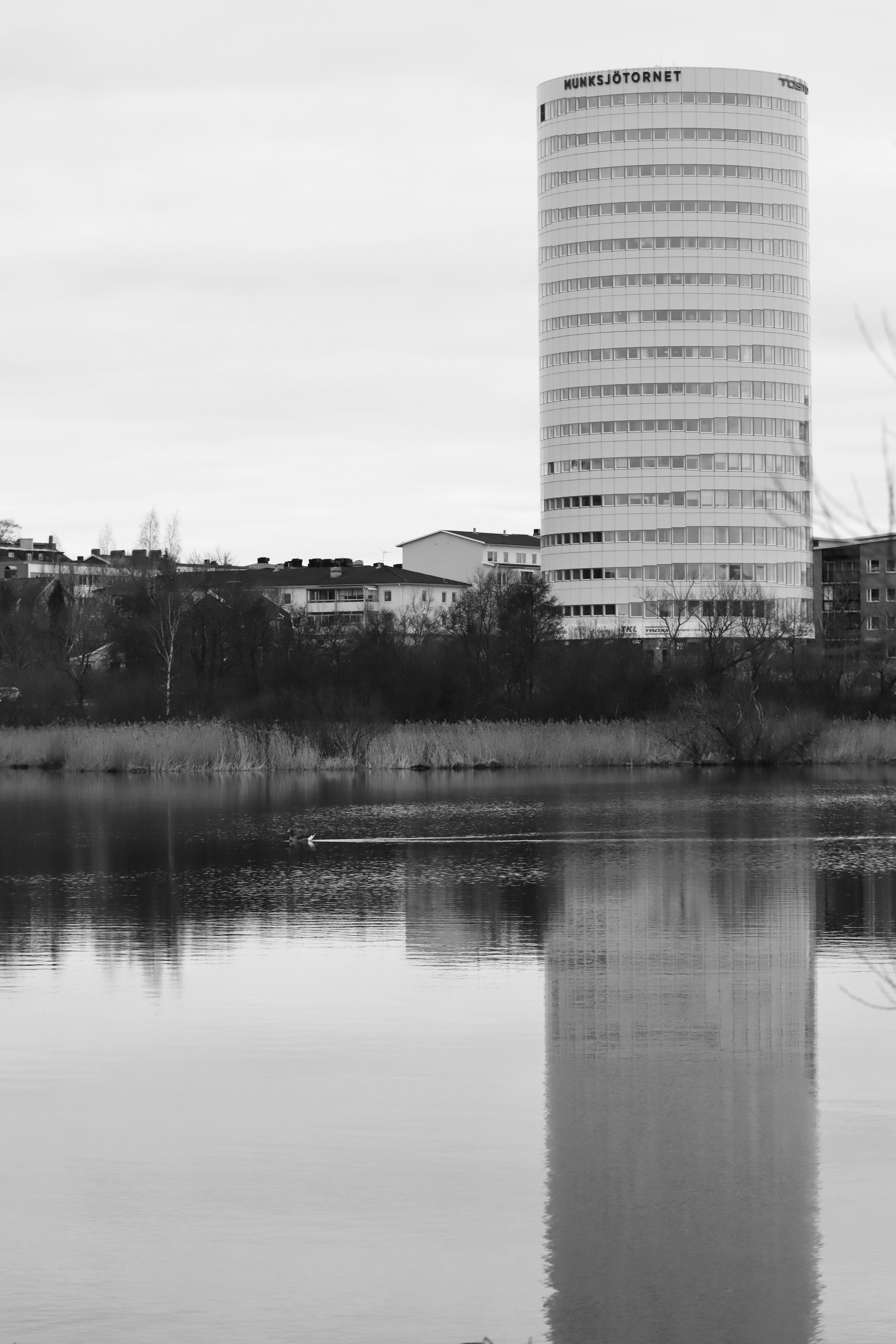 pexels-efrem-efre-2786187-20454948.jpg
