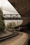 pexels-tristanwmedia-38457415.jpg