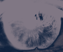 插画.png