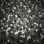 IMG_20261013_231646(1).jpg