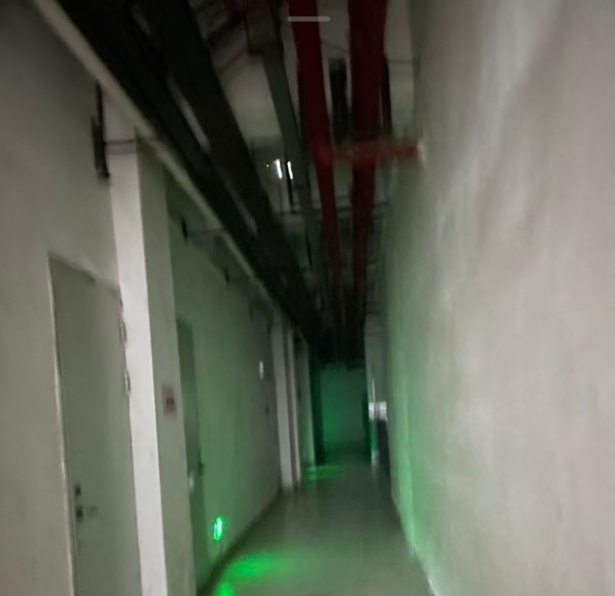 1000014869.jpg