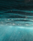 pexels-jess-vide-4322434 (2).jpg