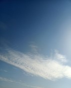 IMG_20261005_154149.jpg