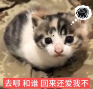 Screenshot_20261001_094416_com_xingin_xhs.png