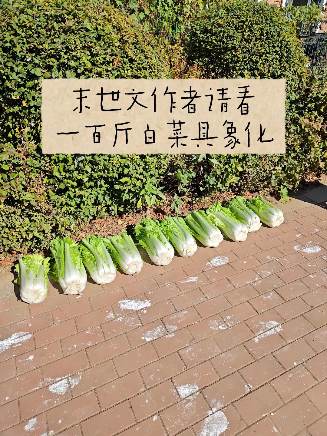 1791296416792.png