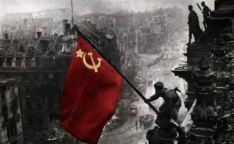 OIP-C.webp