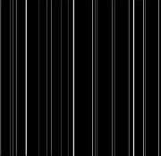 IMG_0875.jpeg
